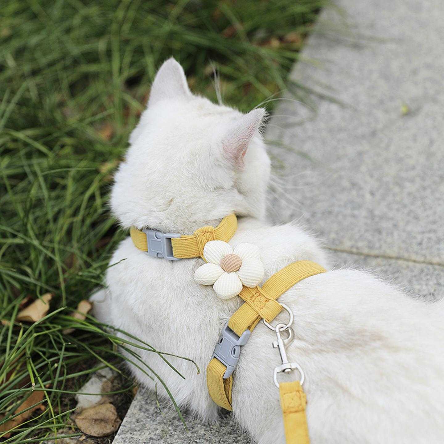 猫咪卡通牵引绳外出防挣脱工字型可调节宠物专用布偶泰迪小型犬用