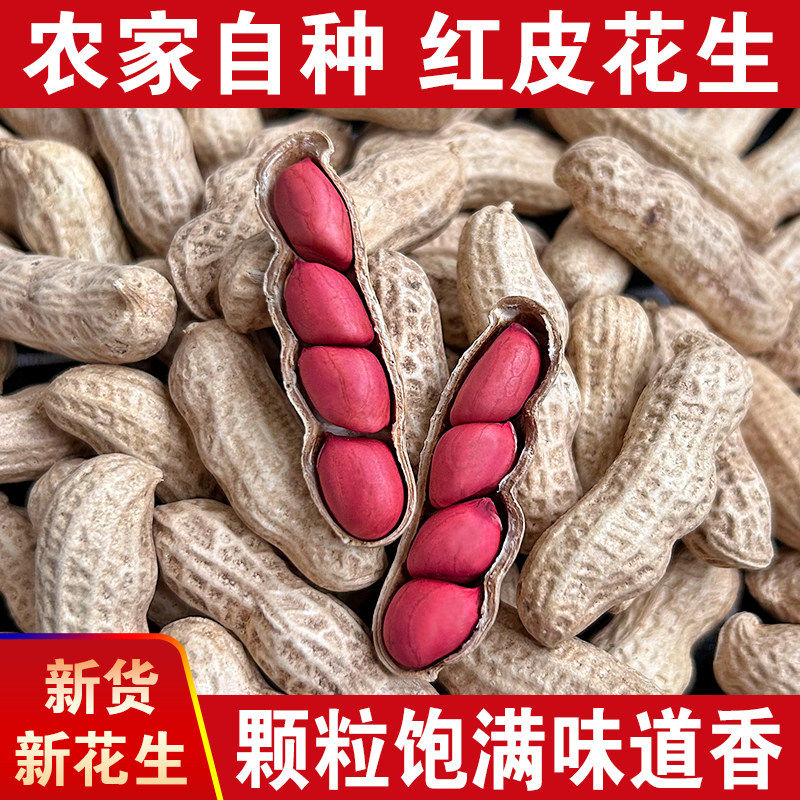 四粒红带壳花生新货新鲜红皮花生图片