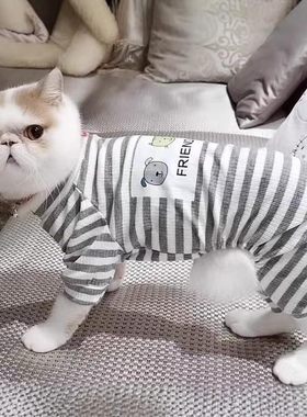猫咪四脚衣防掉毛睡衣狗狗家居服
