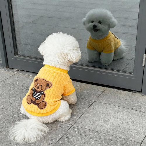 小狗狗衣服秋冬款可爱牵引卫衣小型犬比熊雪奈瑞猫咪宠物卡通背心