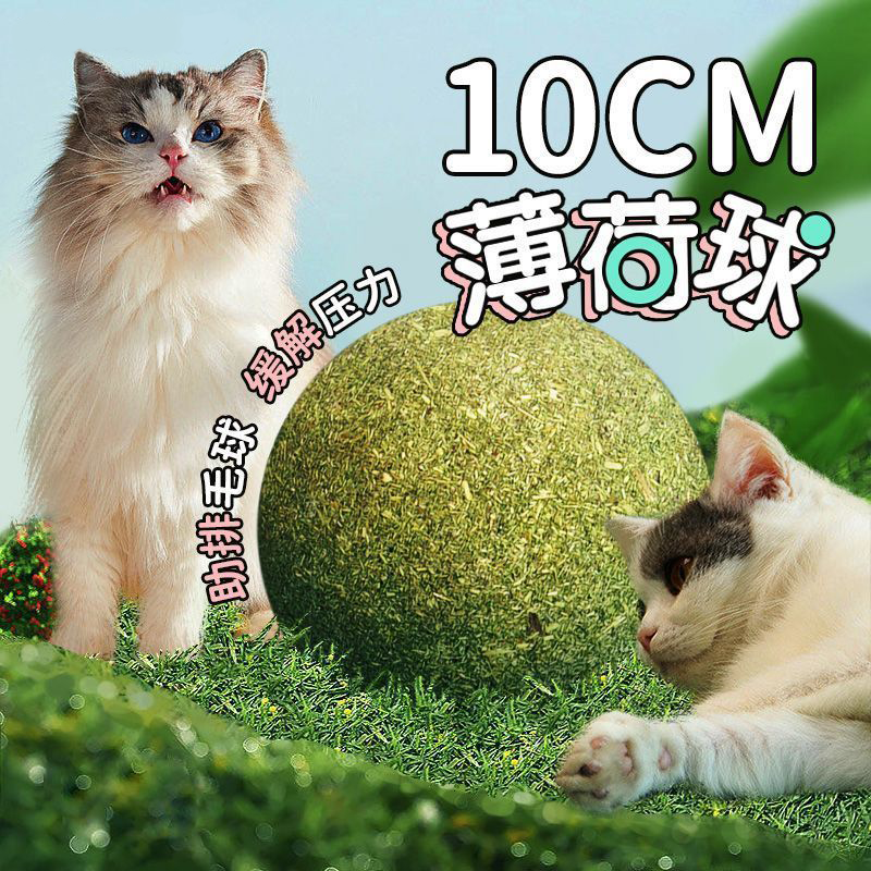 猫玩具超大薄荷球舔毛化毛猫咪消耗体力自嗨解闷耐咬洁齿清新口气