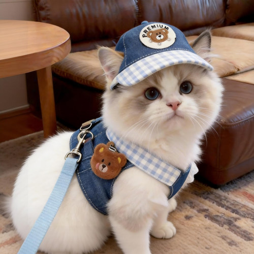 猫咪衣服可牵引牛仔套装狗狗帽子德文猫胸背带夏季外出专用遛猫绳