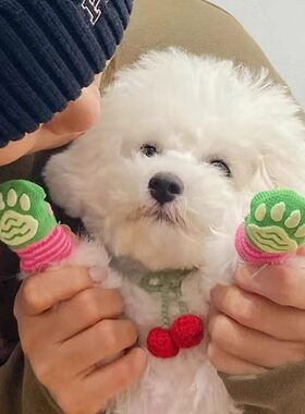 狗狗防滑袜防脏防抓鞋子关节保护