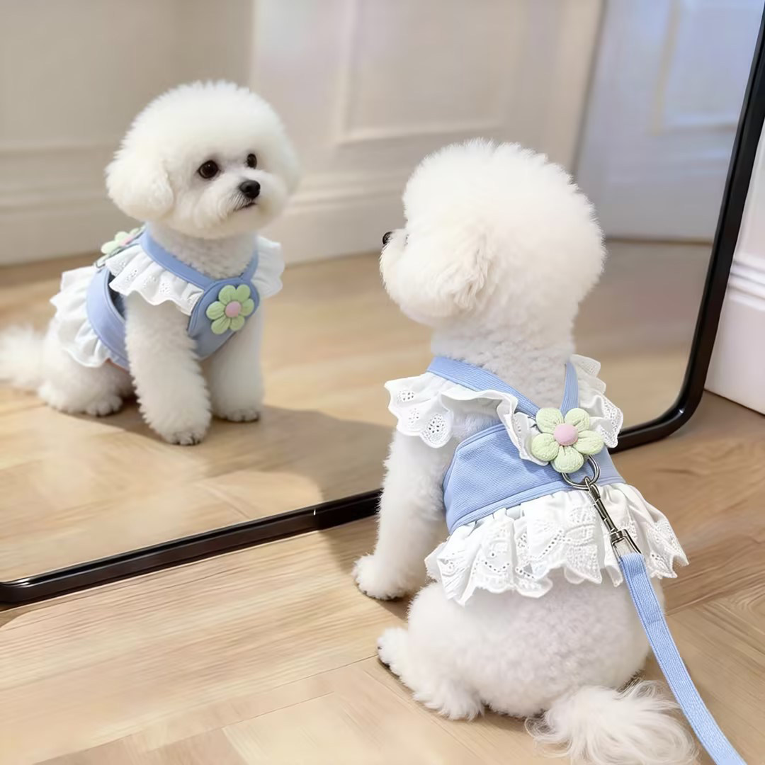 狗狗牵引绳小型犬蕾丝花边胸背裙甜美薄款幼犬外出专用衣服春夏季