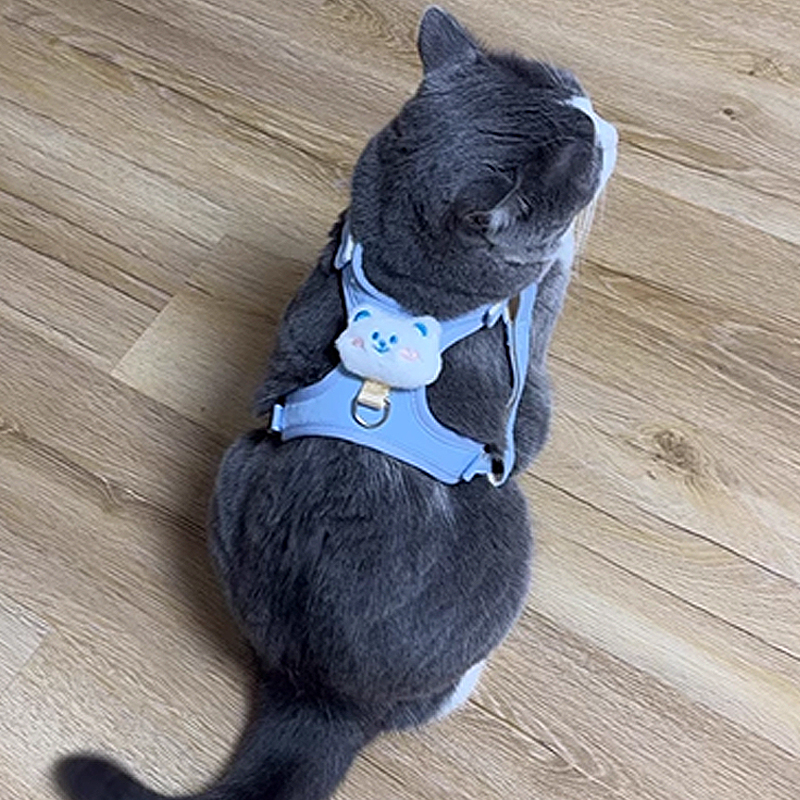猫咪牵引绳防挣脱外出专用猫绳小奶猫溜猫神器宠物防丢胸背带链子