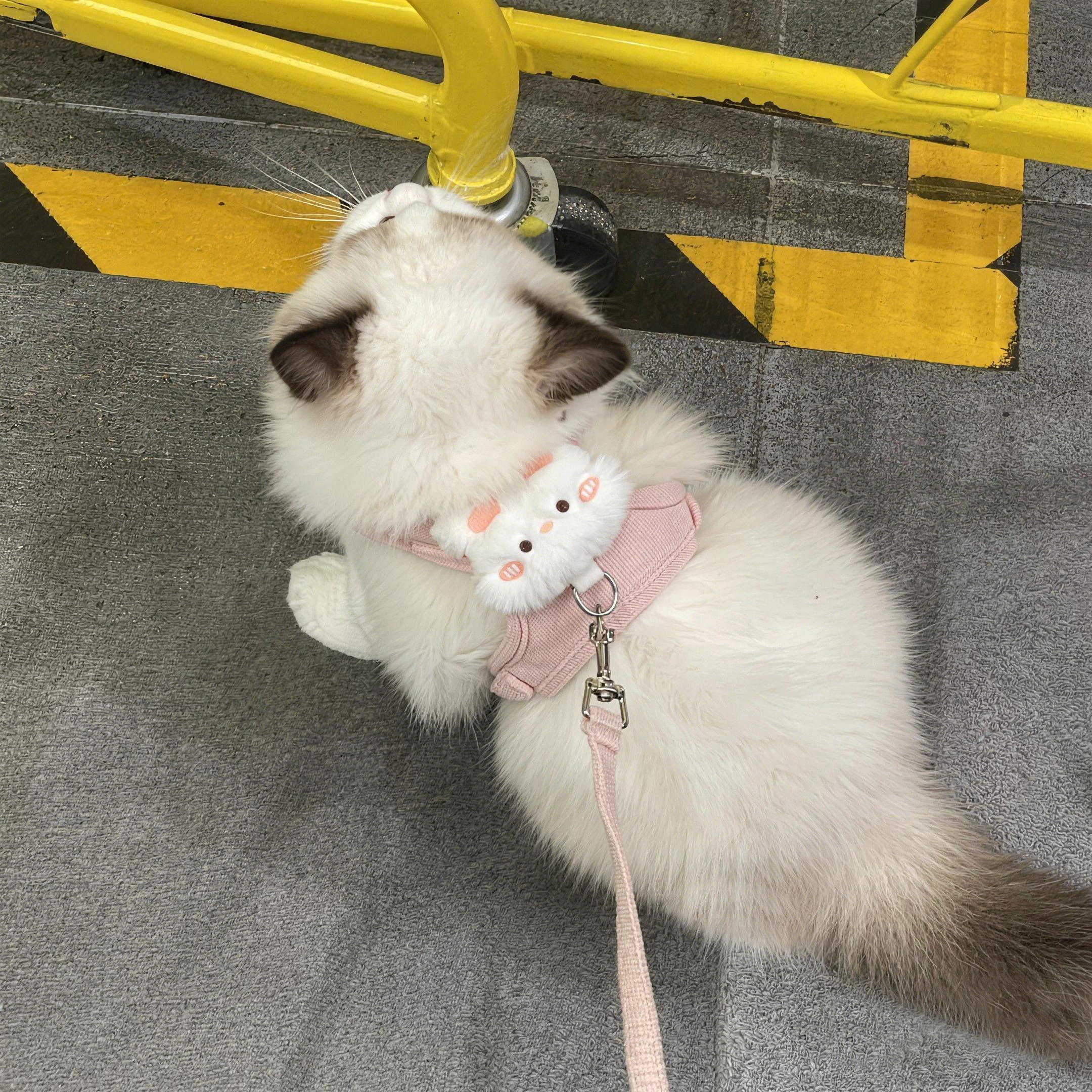 猫咪外出专用牵引绳防挣脱可爱卡通胸背带宠物春夏季外出遛猫绳子,宠物/宠物食品及用品,猫牵引绳,淘宝优惠券,粉丝福利购,淘宝优惠卷