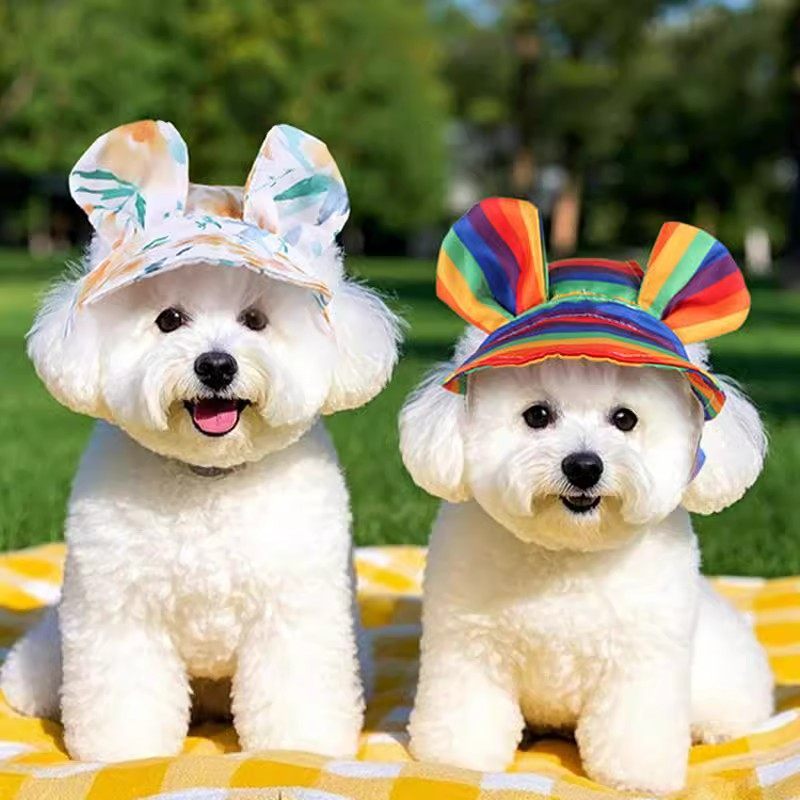 狗狗帽子春夏外出拍照可爱遮阳帽猫咪泰迪比熊太阳帽小型犬防晒帽