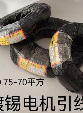 JBQ电机引出线 耐油丁青 全铜丝 独根水泵引线 1平-90平电机引线