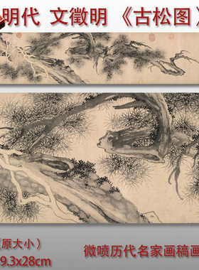 明代文徵明古松图卷水墨国画松树图高清艺术微喷绢本画心临摹画稿