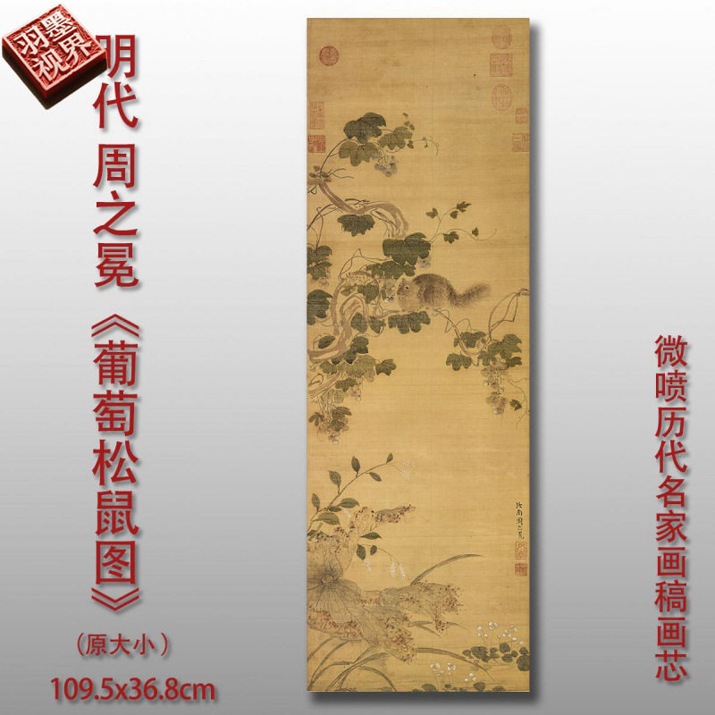 周之冕葡萄松鼠图明清宋元没骨花卉动物画心微喷临摹复制品打印
