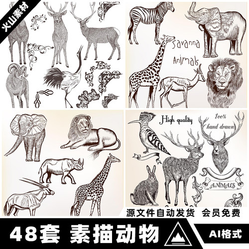 手绘复古素描线稿野生动物鸟类老虎狮子驯鹿插画矢量AI设计素材图