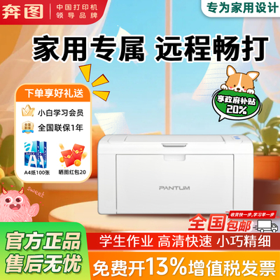 家用奔图P2518NW远程打印