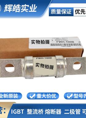 FWH-100B170M5015170M5138低压快速熔断器配件电子元器件