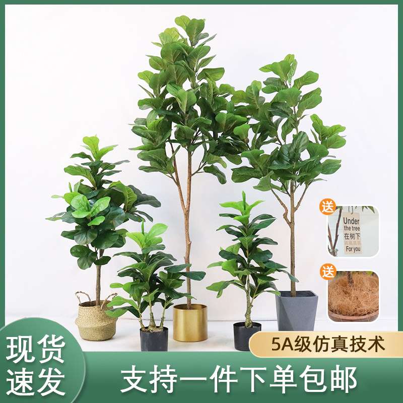 北欧仿真琴叶榕盆栽室内客厅落地装饰盆栽仿真琴叶榕绿植盆景摆件
