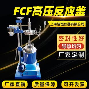 消解罐磁力搅拌小型反应釜电加热高压反应釜FCF型不锈钢反应釜