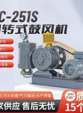 HC一251S回转式鼓风机厂家供应污水处理设备现货供应低噪