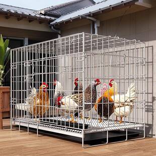 鸡笼子家用室外养鸡笼鸡窝鸡房子鸡舍棚内铁丝网鸭子笼特大号养殖