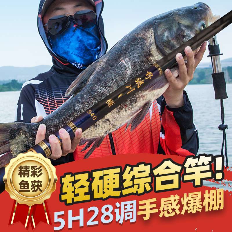 鱼竿碳素手竿台钓竿野钓杆超轻超硬钓鱼竿28调5H长节鲤鱼竿