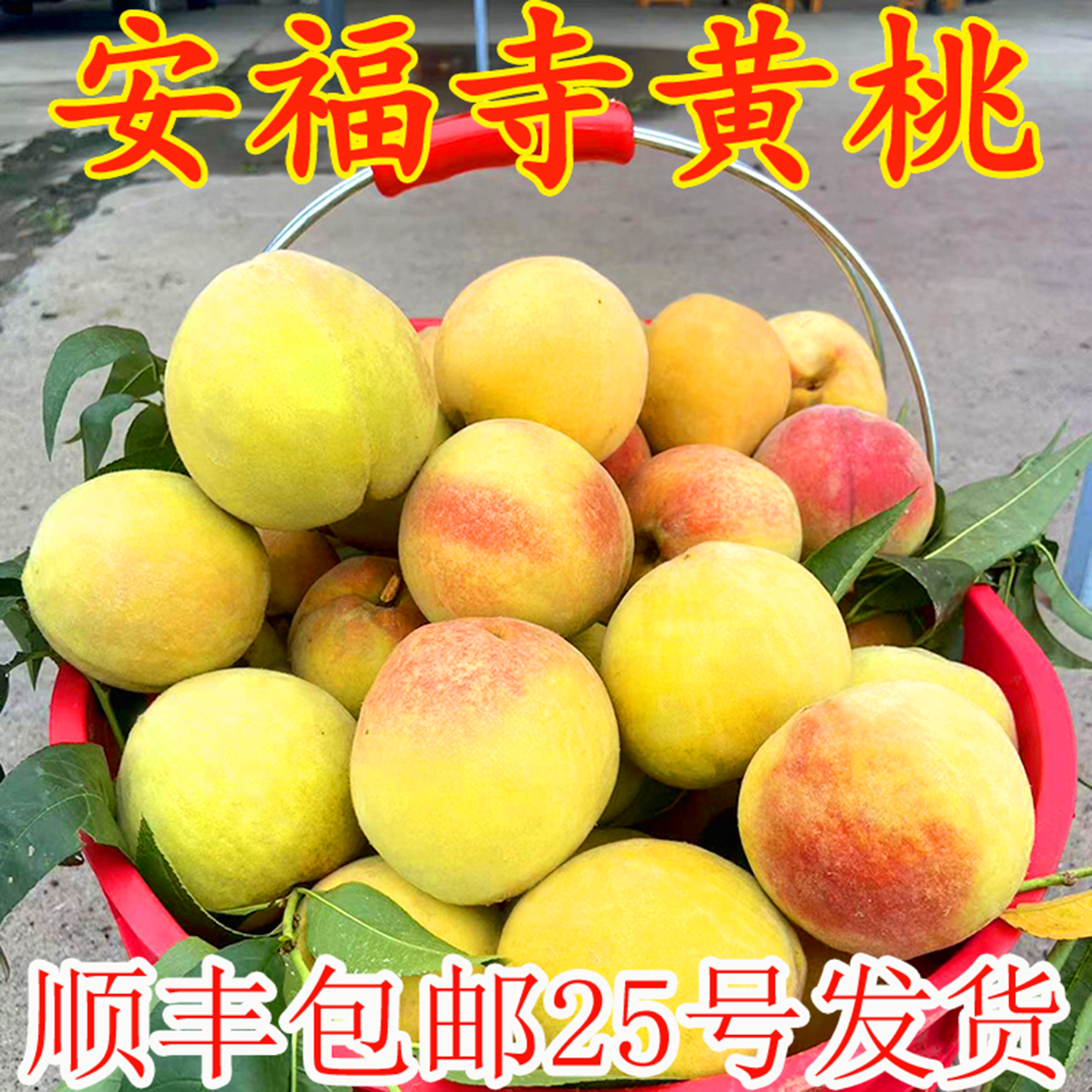 黄桃新鲜水果红心脆桃毛桃硬桃当季应季整箱鲜果湖北现摘黄肉桃子
