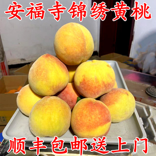 锦绣黄桃新鲜水果现摘脆甜黄肉桃