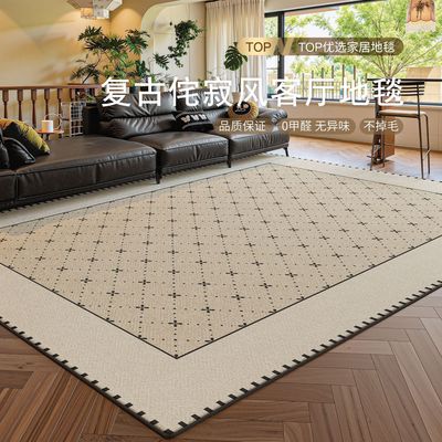 客厅地毯防水抗污抑菌意式轻奢现代简约高级感书房沙发卧室床边毯