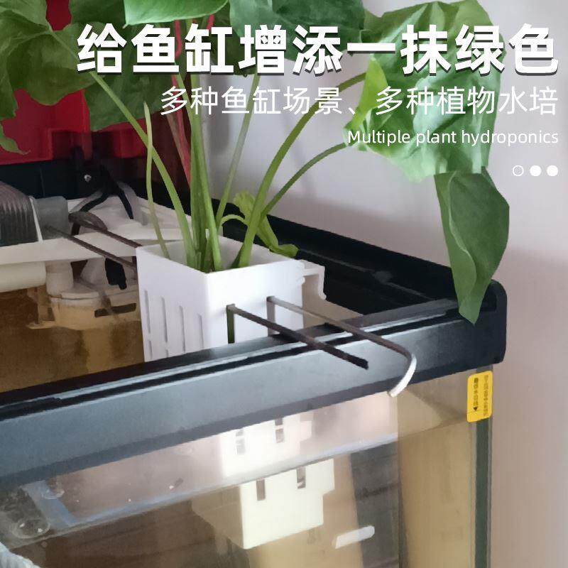 水培固定篮鱼缸水草挂壁式定植篮家用种植杯龟缸植物造景装饰托架