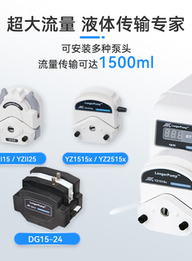 。保定兰格BT300-2J蠕动泵 大流量 可调精密基本型恒流泵耐酸碱包