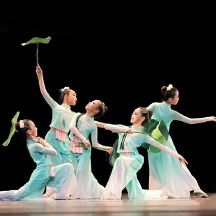 小荷叶舞蹈服荷叶翩翩莲叶翩翩演出服古典舞荷花道具如梦令表演服