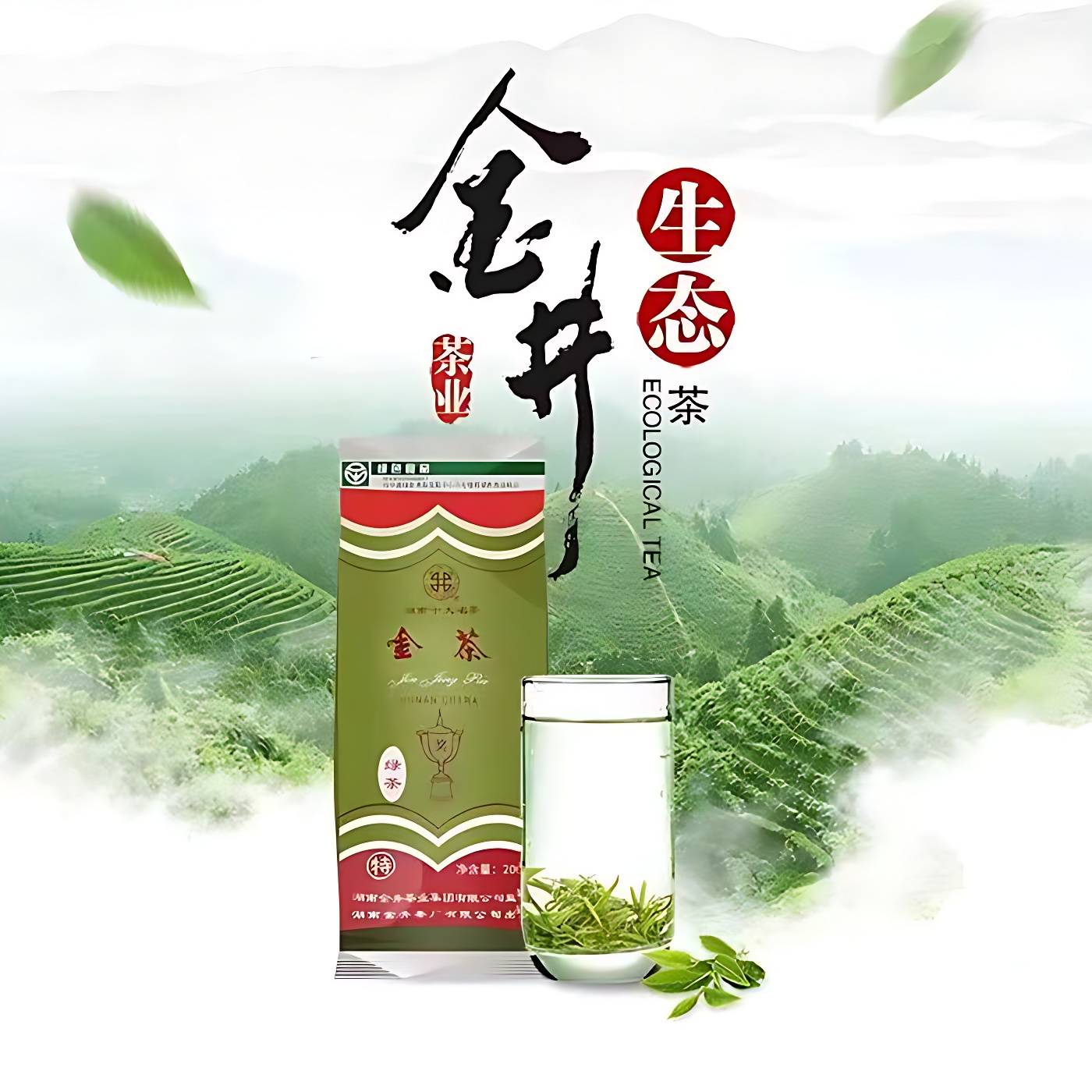 金井特级绿茶200g 金茶 特级 绿茶 茶叶 名茶