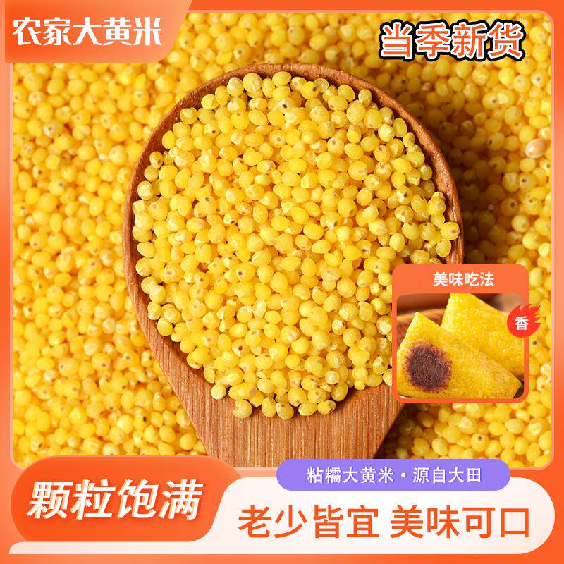 速发大黄米熬糯黄米包粽子蒸年糕新米黏粥非山西东北正宗大黄米黏