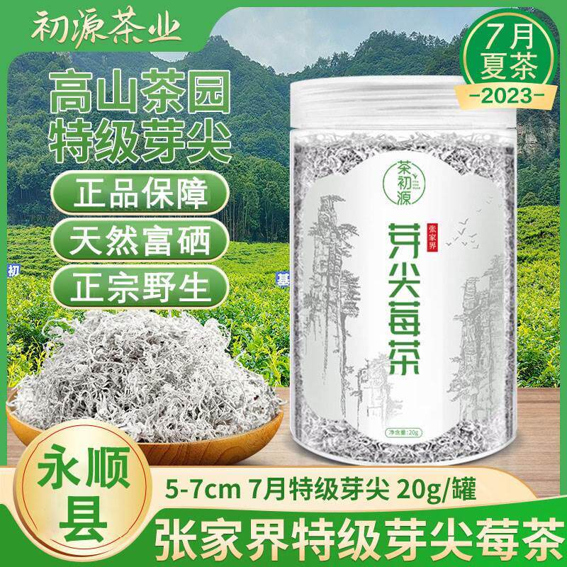 莓茶的功效与作用永顺县苺茶霉茶特级黄酮茶湖南张家界的梅茶野生