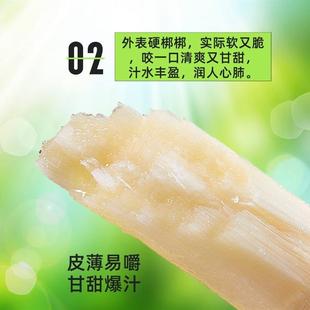 广西上思黑皮甘蔗新鲜9斤整根应季 包邮 孕妇食用水果爆甜脆无公害