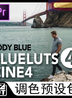 Blueluts Pack 4 cody Cine4 Cine2 PP索尼专用调色LUT预设剪映pr