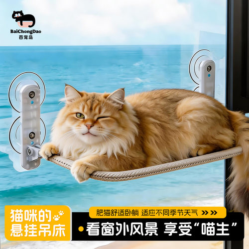 百宠岛猫咪吸盘窗挂床四季通用