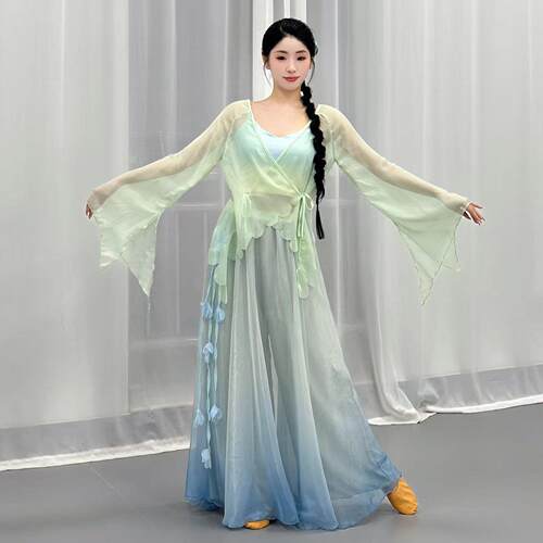新款古典舞蹈服古风身韵渐层纱衣女飘逸练功服中国舞蹈演出服套装