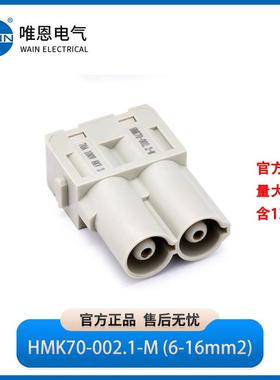 WAIN唯恩HMK70-002.1-M插芯 公1290020110201