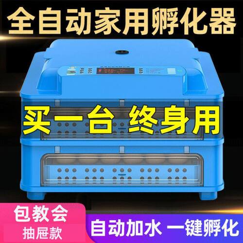 孵化器全自动芦丁鸡孵化机小鸡小型孵化箱家用孵蛋器孵小鸡的机器