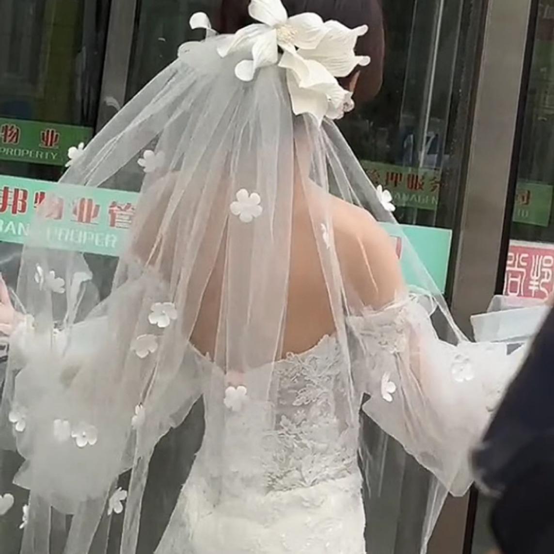 头纱新娘白色立体蝴蝶主婚纱重工珍珠奢华超大款拖尾软纱鱼尾婚纱