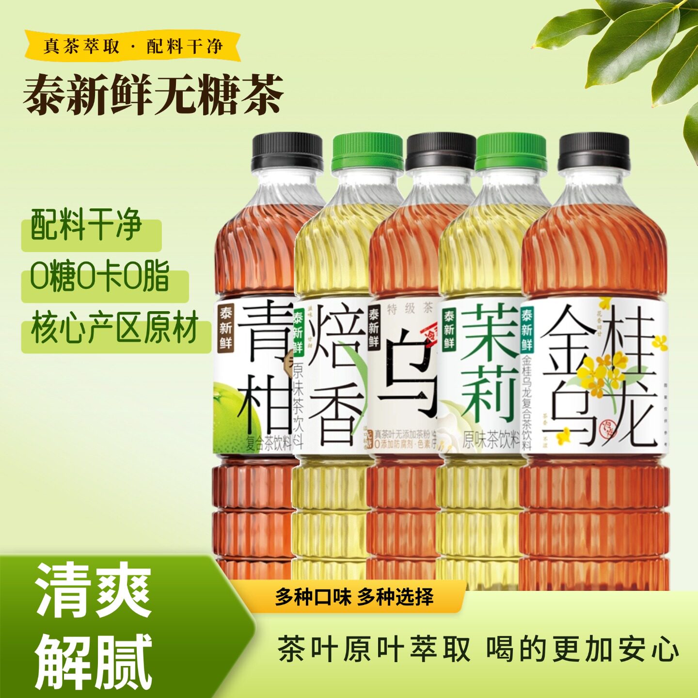 泰新鲜无糖茶饮料茉莉雪芽乌龙茶金桂乌龙青柑普洱0糖0卡0脂茶饮图片