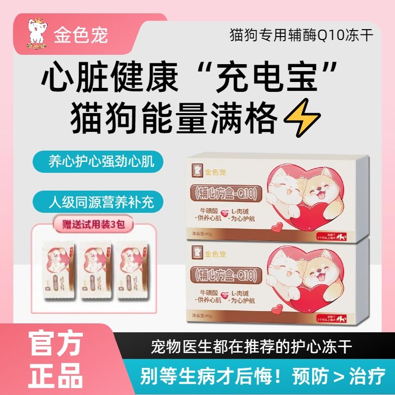 金色宠狗狗猫咪保护心脏猫咪