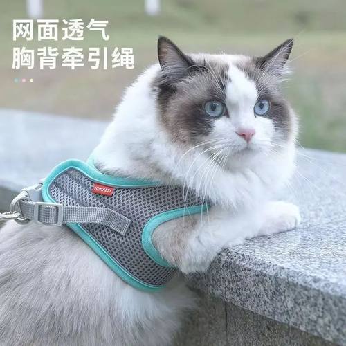 春夏猫咪牵引绳防挣脱外出专用透气胸背牵引绳外出背心式溜猫神器