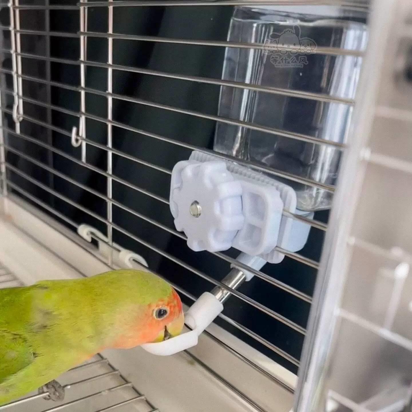 鹦鹉饮水器自动喂水器鸟用鸟笼悬挂式喝水神器不漏水壶鸟食盒水壶