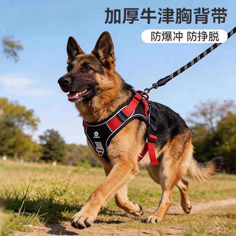 狗狗牵引绳防爆冲胸背带中型大型犬德牧拉布拉多金毛遛狗绳狗链子