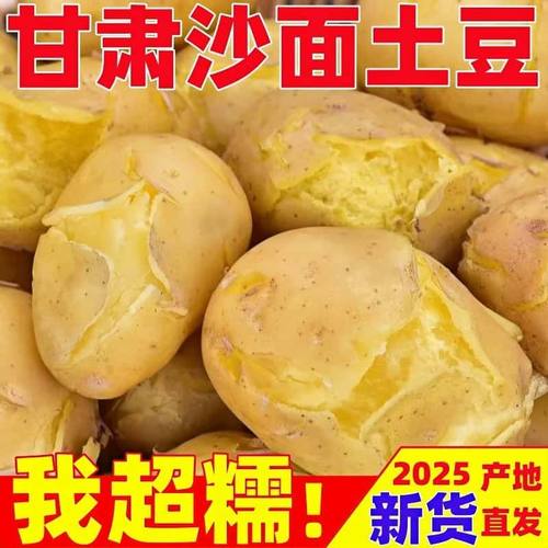 定西沙面正宗土豆黄心黄皮马铃薯洋芋甘肃新鲜现挖农家自种整箱