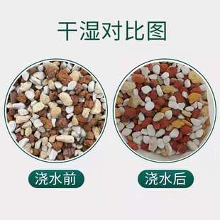 兰花专用护心土护颈土多肉全颗粒铺面石透气植金石火烧土硬珍珠岩