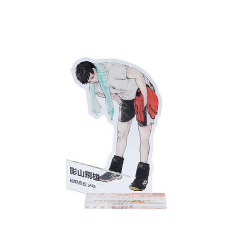 限购5/预定排球少年日