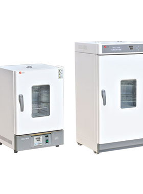 。天津泰斯特WGL-30B/WGLL-45BE立式鼓风干燥箱实验室烘箱工业烤