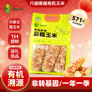 【2025新玉米彩糯玉米】易中易有机彩糯玉米家庭装非转基因8根装