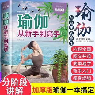 大全 瘦身塑身教程瑜伽体式 瑜伽书籍瘦身 阴瑜伽 减肥塑身健身瑜伽练习书 官方正版 减肥神器初级入门瑜伽教材书 瑜伽从新手到高手