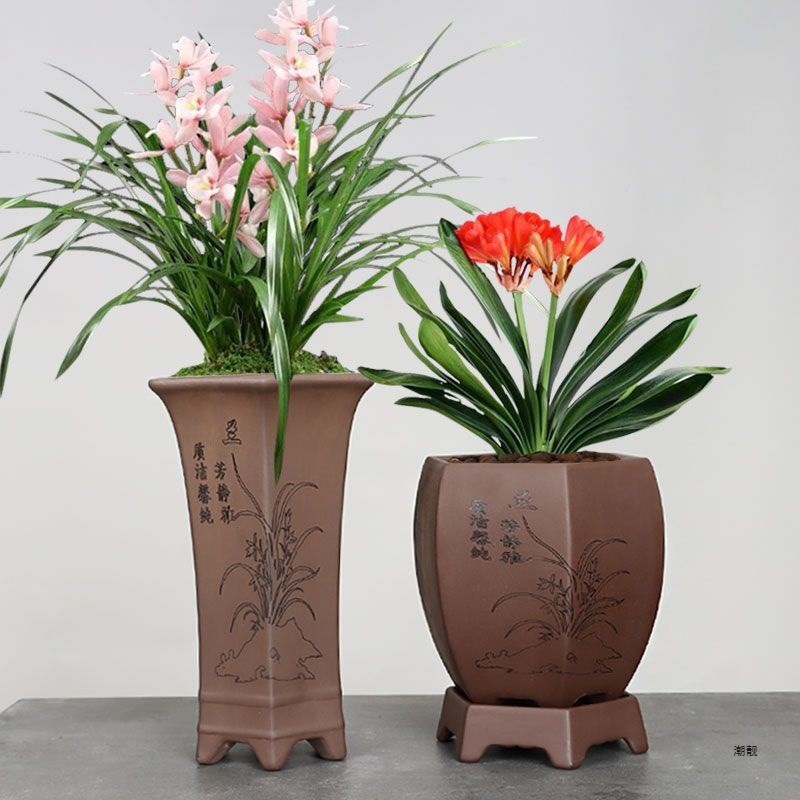 紫砂兰花盆六方大号陶瓷客厅阳台带托盘文竹盆景花盆包邮落地新品
